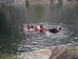 Log floating again.jpg